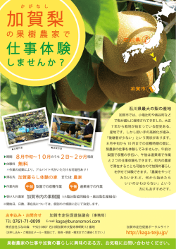 加賀梨 - 加賀でかがやく 加賀市定住促進協議会