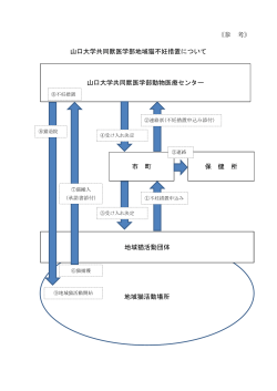 山口大学共同獣医学部地域猫不妊措置について（イメージ図） (PDF