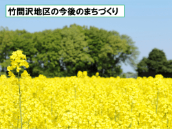 竹間沢地区の今後のまちづくりについて （3840KB）