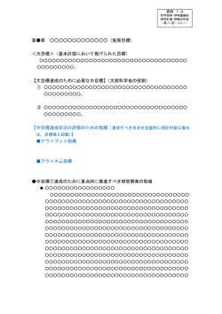 資料1-4 研究開発計画骨子フォーマット