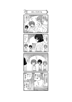 ホシノスタイル