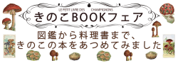 「きのこフェア」用パネル