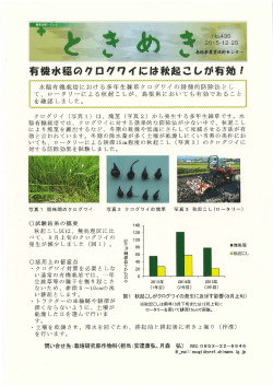 Page 1 No. 435 2O15–12–25 * _ * * · ಶಿ##### ? 有機水稲の7ロ77ィ