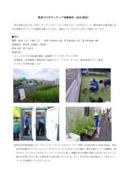 現地でのボランティア活動報告（8/18現在）（PDF：524KB）
