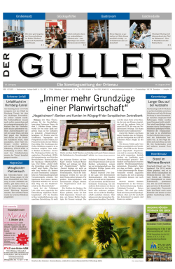 DocuWare Generated PDF - Stadtanzeiger