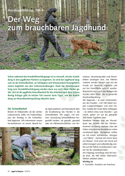 Hundef&uuml;hrerlehrgang
