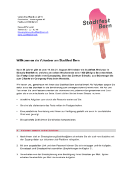 Informationsflyer Volunteering Stadtfest Bern