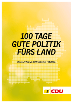 100 tage gute politik fürs land