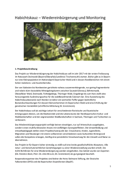 Habichtskauz &ndash; Wiedereinb&uuml;rgerung und Monitoring