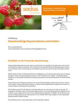 Einblicke in die Praxis der Ver&auml;nderung