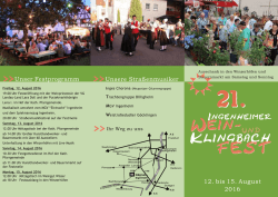 zu den Festinfos - Billigheim