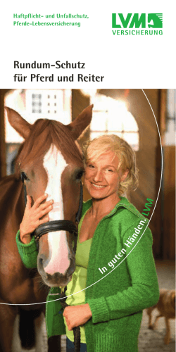 RundumSchutz für Pferd und Reiter