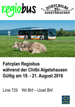 Flyer Chilbi-Algetshausen-19.-20.08.16-Busumleitung
