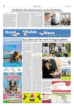 Hund Katze Maus
