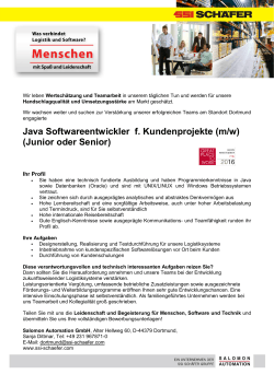 Salomon Automation GmbH Java Softwareentwickler für