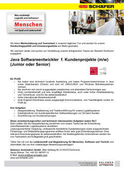 Salomon Automation GmbH Java Softwareentwickler für