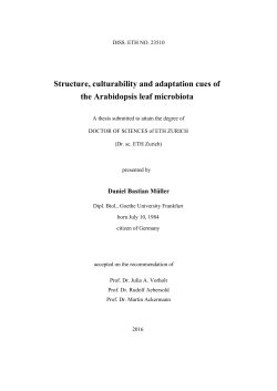 Structure, culturability and adaptation cues of the - ETH E