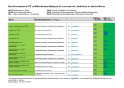 EFZ Berufsfachschulen und BMS