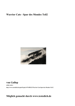 PDF: Das Ebook zur Geschichte