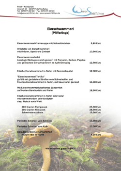 Eierschwammerl - WeserSchiffchen