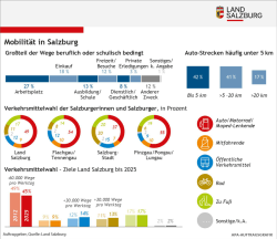 Infografik Landesmobilit&auml;tskonzept