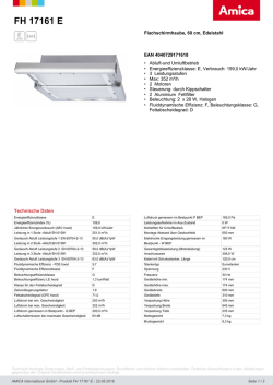 FH 17161 E - Amica International GmbH