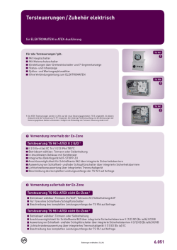 Page 1 Torsteuerungen/Zubehör elektrisch für ELEKTROMATEN in