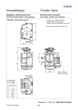 Drosselklappe Throttle Valve