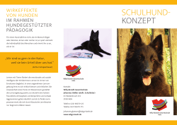 schulhund- konzept - Willy-Brandt
