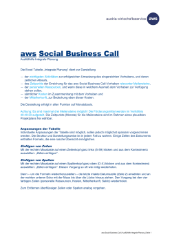 aws Social Business Call - Integrale Planung Ausfüllhilfe