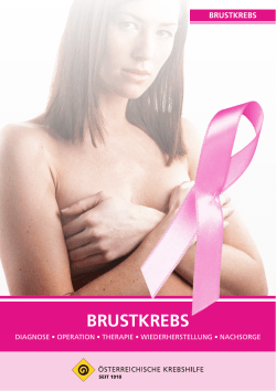 brustkrebs - Pink Ribbon