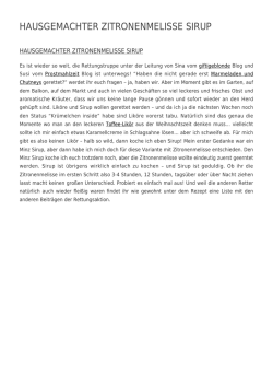 Hausgemachter Zitronenmelisse Sirup - Katha