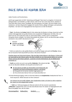 Rallye durch das Aquarium Berlin