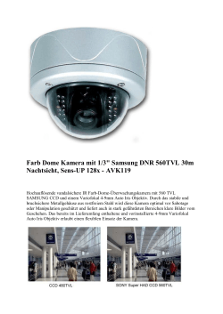 Farb Dome Kamera mit 1/3" Samsung DNR 560TVL 30m