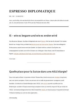 IS &ndash; wie es begann und wie es enden wird