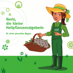 Neun Heilpflanzen für Magen und Darm – mehr als nur Gartenkräuter