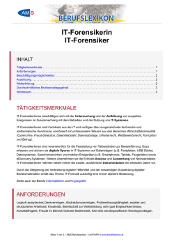 IT-Forensikerin IT-Forensiker