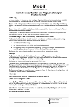 Infoblatt f&uuml;r Berufsfachsch&uuml;ler