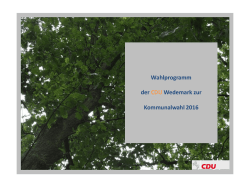 Hier finden Sie unser ausf&uuml;hrliches Wahlprogramm zur
