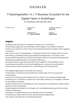 IT-Systemgestalter/-in / IT-Business Consultant f&uuml;r die