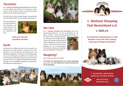 SSCD Flyer - 1. Shetland Sheepdog Club Deutschland eV