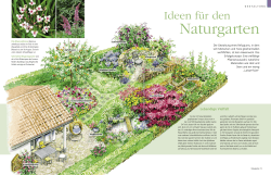 PDF-Datei - Mein schöner Garten