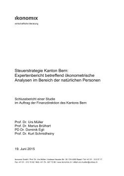 Expertenbericht - Steuerstrategie Kanton Bern