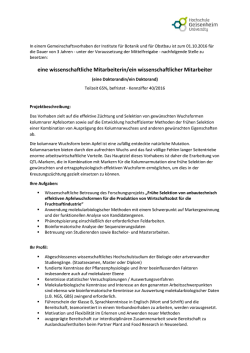 eine wissenschaftliche Mitarbeiterin/ein wissenschaftlicher Mitarbeiter