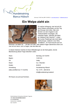 Ein Welpe zieht ein