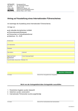 Antrag auf Ausstellung eines Internationalen F&uuml;hrerscheines