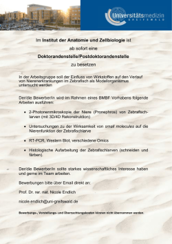 Doktorandenstelle/Postdoktorandenstelle im Institut der Anatomie
