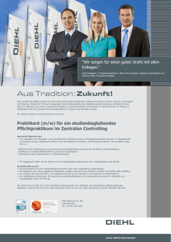 PDF drucken - Diehl Gruppe