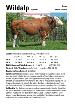 Wildalp 10/175662 Bayern-Genetik Züchter: Franz
