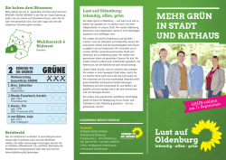 Flyer Wahlbereich 6: Südwest